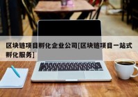 区块链项目孵化企业公司[区块链项目一站式孵化服务]