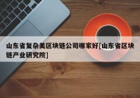 山东省复杂美区块链公司哪家好[山东省区块链产业研究院]